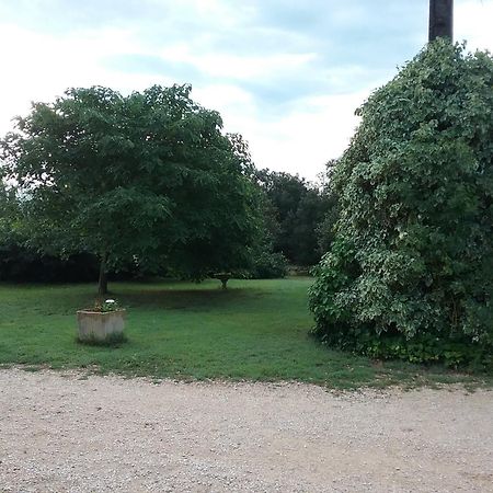 Le Mas Du Berger Saint-Quentin-la-Poterie Exteriör bild